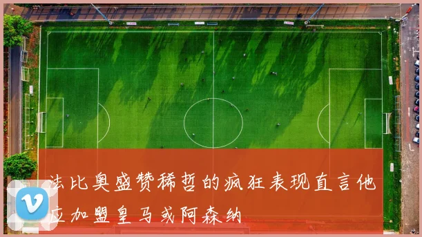 法比奥盛赞稀哲的疯狂表现直言他应加盟皇马或阿森纳